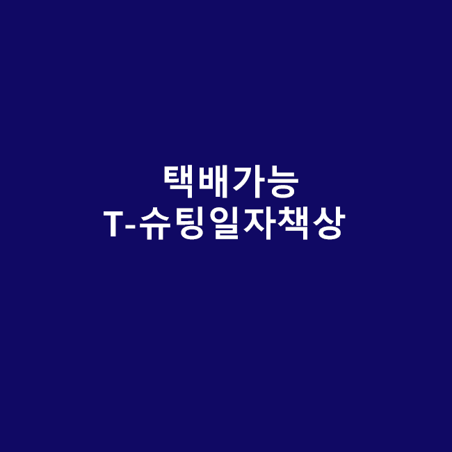 T-슈팅일자책상